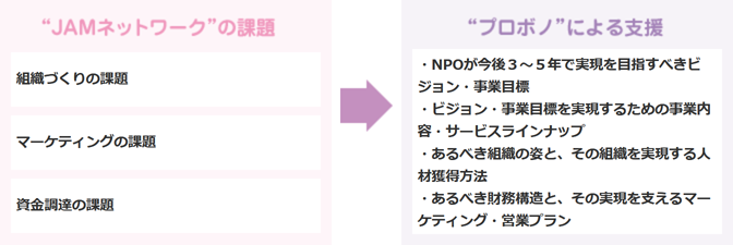 組織づくりの課題、マーケティングの課題、資金調達の課題→プロボノによる支援（NPOが今後3～5年で実現を目指すべきビジョン・事業目標、ビジョン・事業目標を実現するための事業内容・サービスラインナップ、あるべき組織の姿と、その組織を実現する人材獲得方法、あるべき財務構造と、その実現を支えるマーケティング・営業プラン）