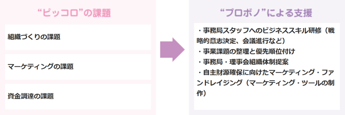 組織づくりの課題、マーケティングの課題、資金調達の課題→プロボノによる支援（事務局スタッフへのビジネススキル研修（戦略的意志決定、会議進行など）、事業課題の整理と優先順位付け、事務局・理事会組織体制提案、自主財源確保に向けたマーケティング・ファンドレイジング（マーケティング・ツールの制作）