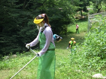 ボランティアステーション ボラステ キャンプ村 草刈りたい 隊 参加者募集 ボランティア 市民活動の総合情報サイト ボラ市民ウェブ ボランティアステーション ボラステ キャンプ村 草刈りたい 隊 参加者募集 ボランティア 市民活動の総合情報サイト ボラ市民ウェブ