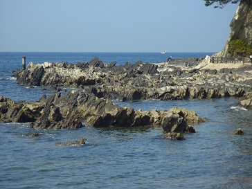 日本エコツーリズムセンター 海の底から日本を見てみよう 相模湾 深海魚 夜話 ボランティア 市民活動の総合情報サイト ボラ市民ウェブ