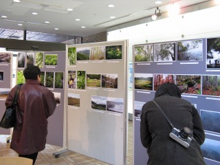 写真展〜地球温暖化と日本